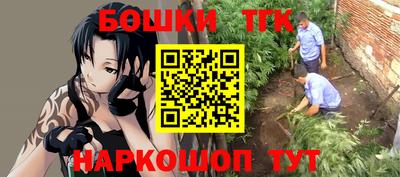 МДПВ Обнинск