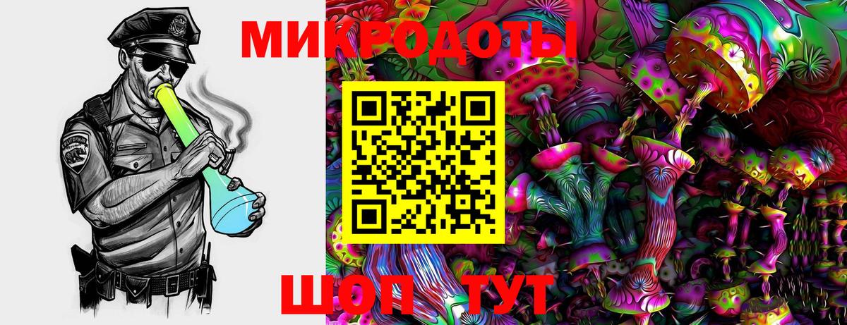 Пугачёв  Галлюциногенные грибы Psilocybine cubensis  Вход с VPN 
